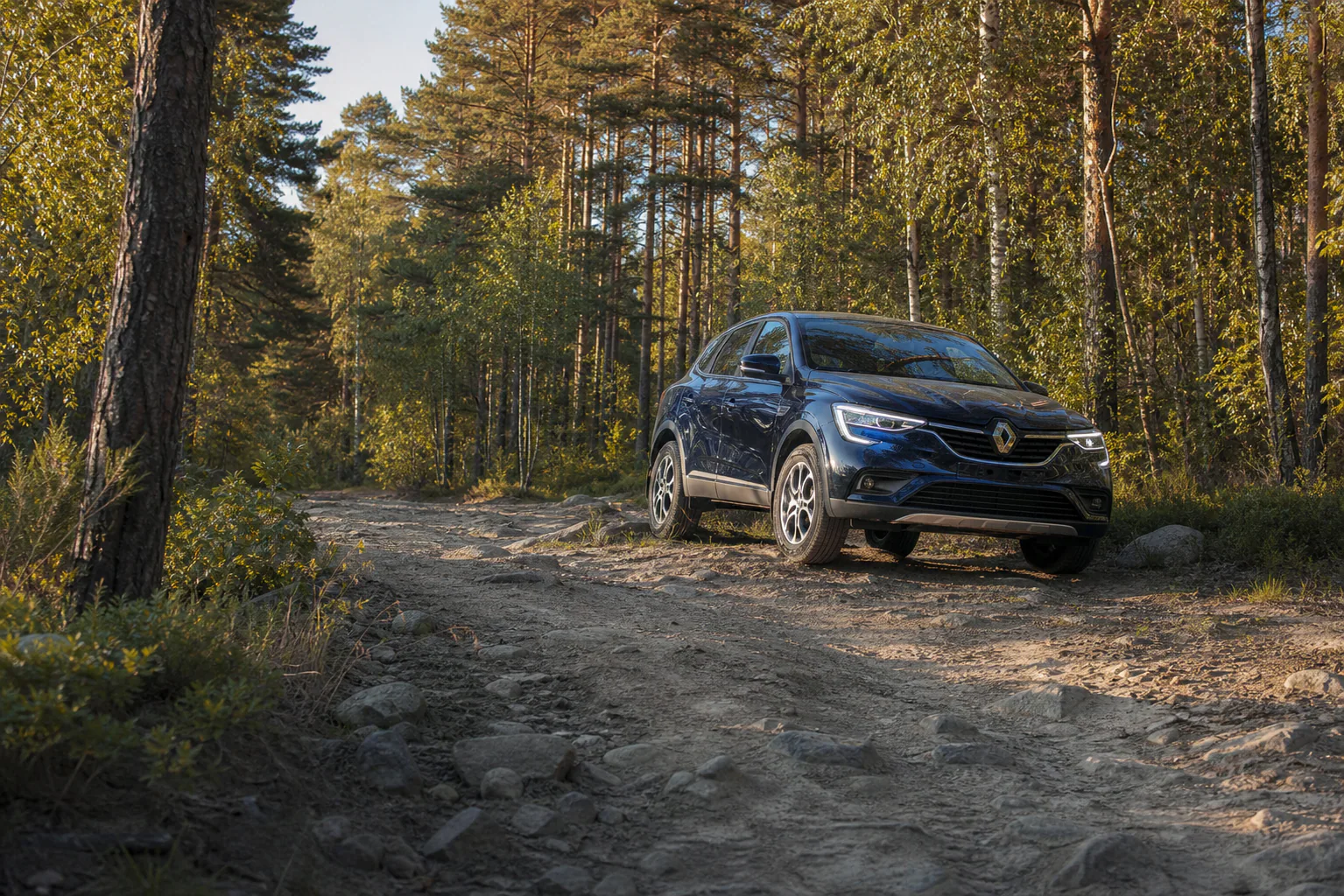 Renault Arkana на каменистой лесной дороге